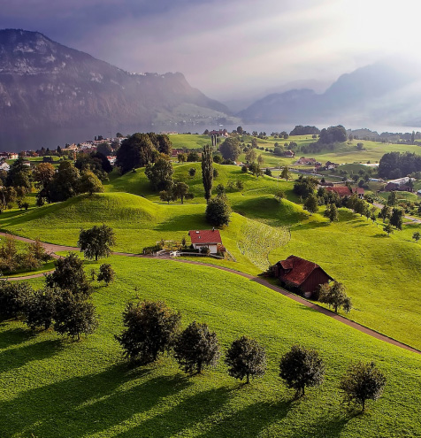 Sustainable beef ranches in rolling hills.
