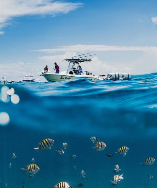 A seaboat out fishing in the ocean